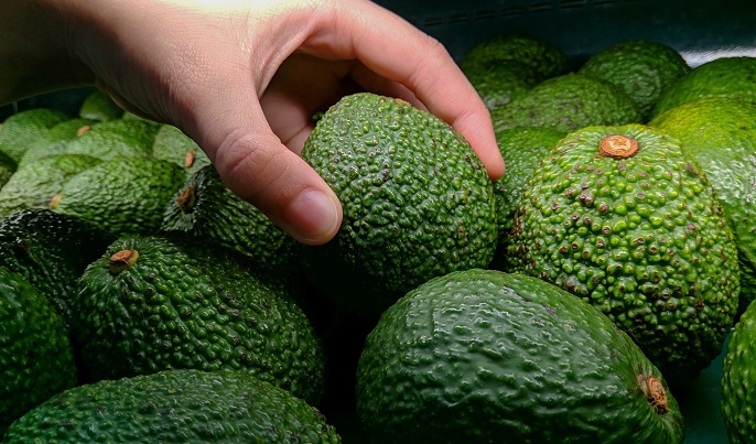 Cerca de S/ 10 millones en intenciones de compra registran en Rueda de Negocios de Palta
