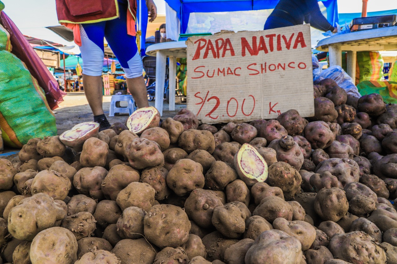 Papa nativa de Sihuas empieza se comercializa en mercados de Chimbote 