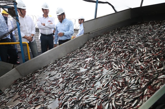 Envíos de harina y aceite de pescado superarían los US$ 2,000 millones en el 2022