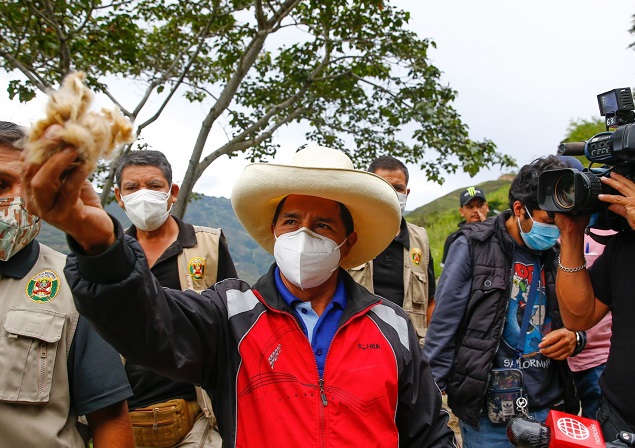 Pedro Castillo confirma que participará en debates del JNE