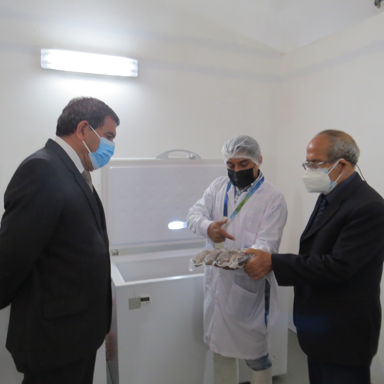 UNS, PNIPA y pesquera implementan planta piloto para procesar productos hidrobiológicos