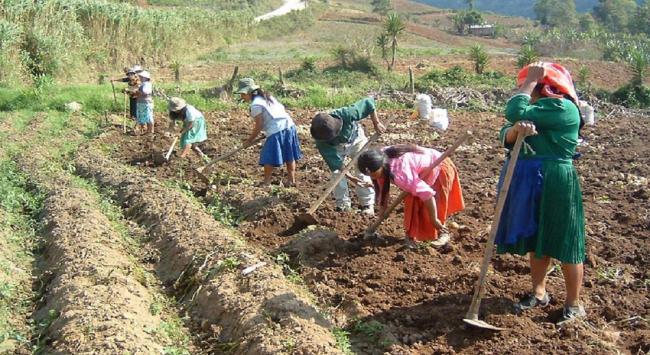La pobreza rural se agrava en Perú y América Latina