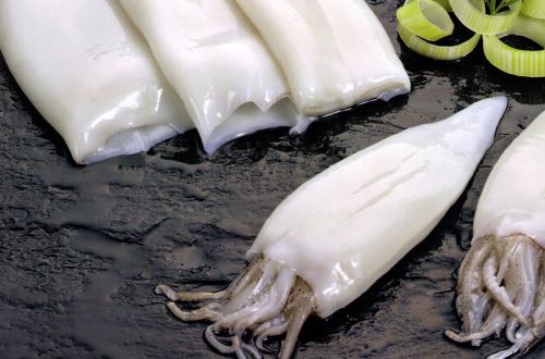 Arándano, pota y palta impulsan  exportaciones en Áncash, La Libertad , Lambayeque y Piura