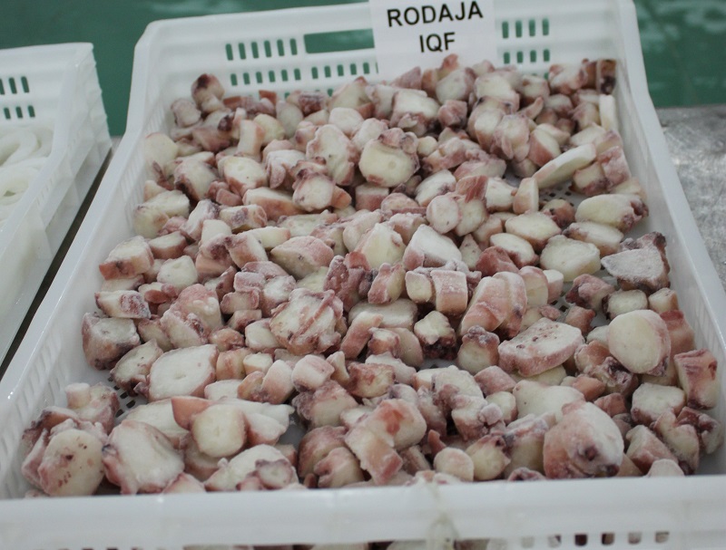 En el 2019 creció la exportación de Pota, informó Adex