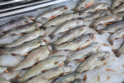 Produce informa que hay abastecimiento de recursos hidrobiológicos en todo el país