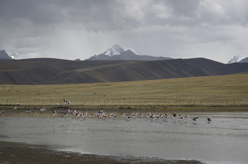 Se prolongará variabilidad de lluvias la próxima semana en Áncash informa el Inaigem