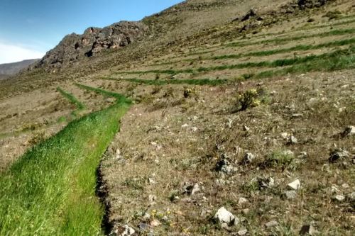 Áncash: proyecto busca mejorar producción agrícola en Yungay