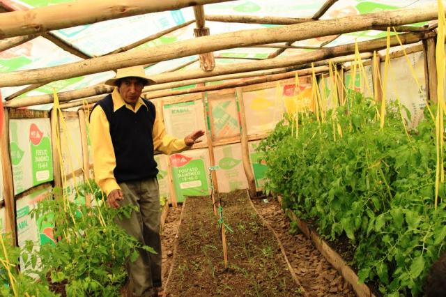 Destacan emprendedurismo de poblador ancashino en proyecto Haku Wiñay de Foncodes 