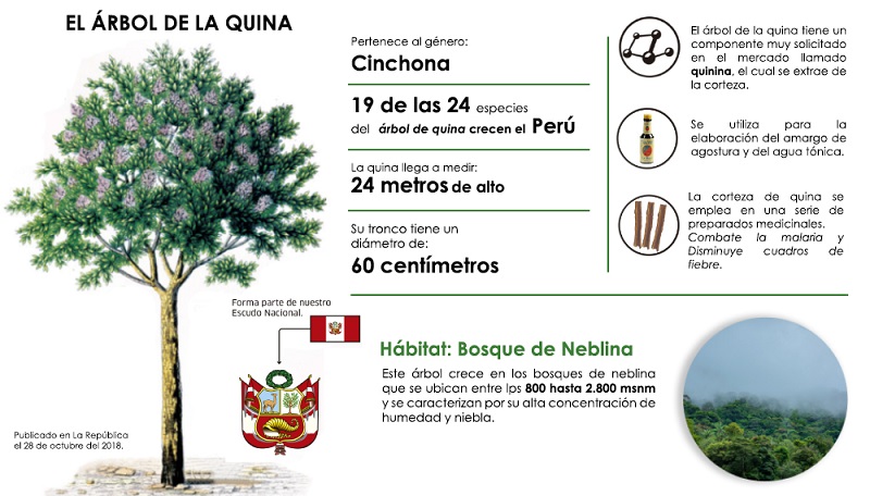 ¿Las propiedades de la Quina podrían curar el Coronavirus?