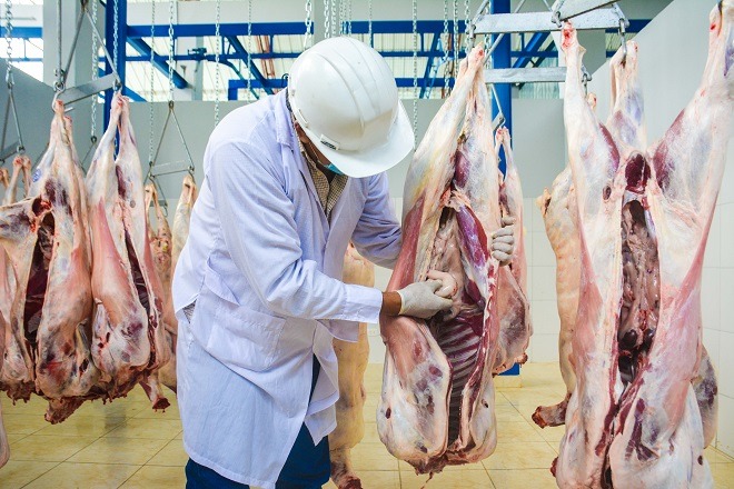 Huallanca contará con moderno matadero municipal autorizado por Senasa