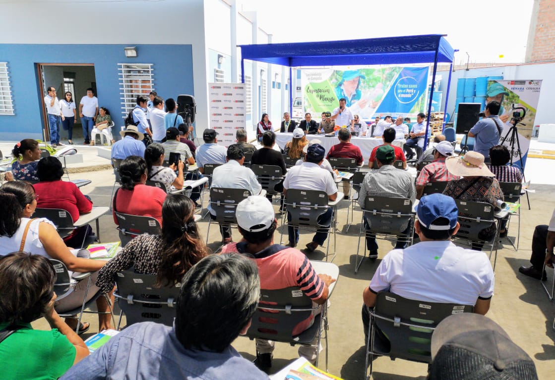 Productores y autoridades se unen por erradicar mosca de la fruta y continuar con exportaciones