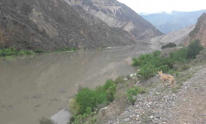 Unos 400 pobladores en Pataz serían evacuados ante peligro de ser sepultados por río Sihuas  