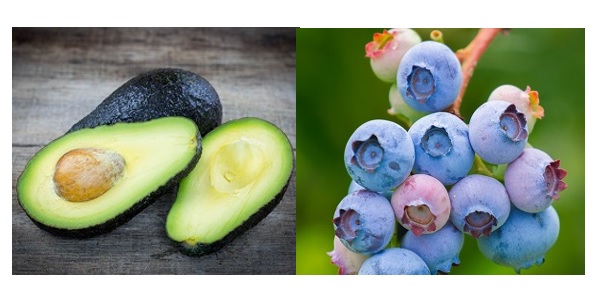 Adex: Áncash ampliará su oferta exportable y llegará a más destinos 