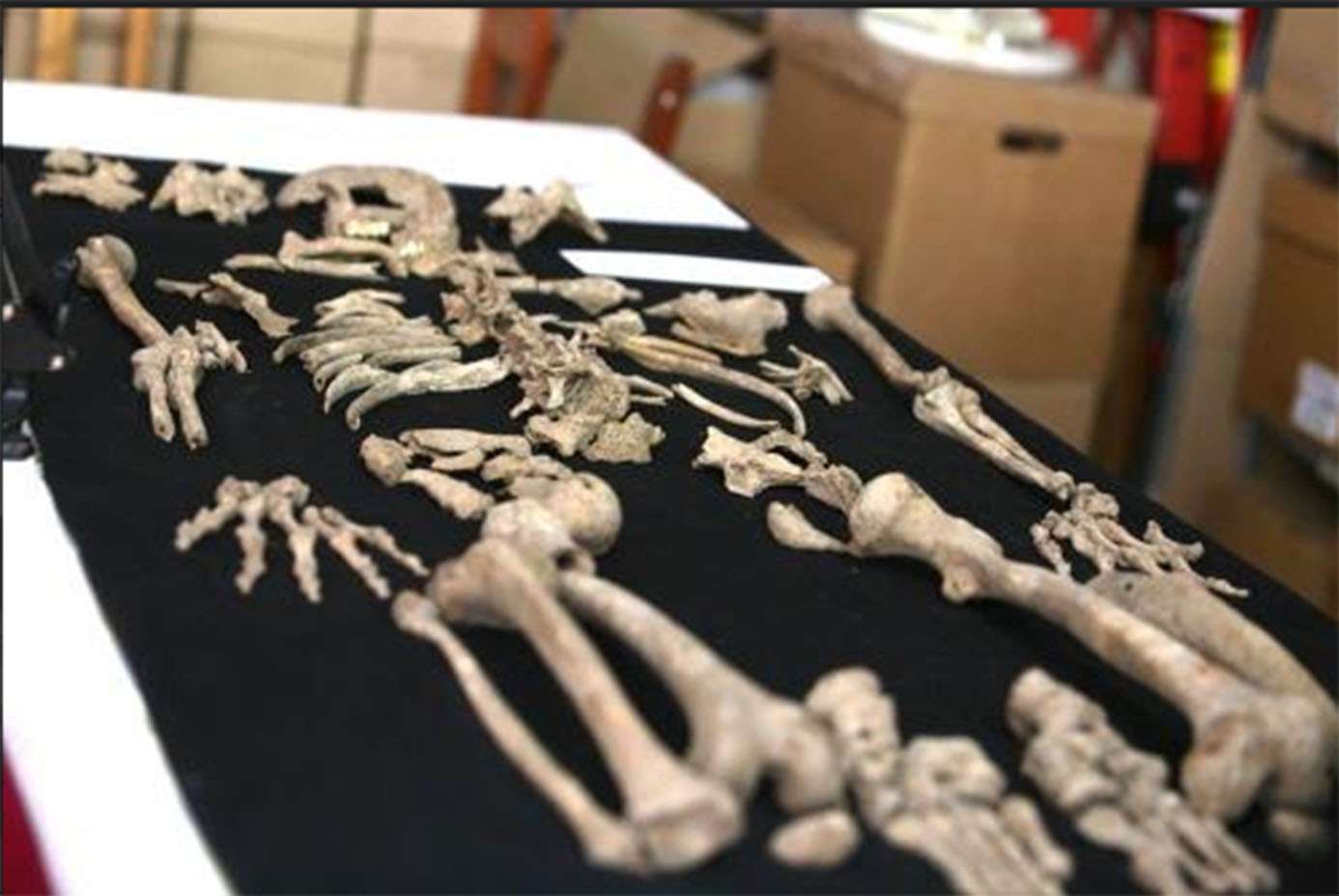 Áncash: robots permiten develar restos de posibles sacrificios humanos en Chavín de Huántar