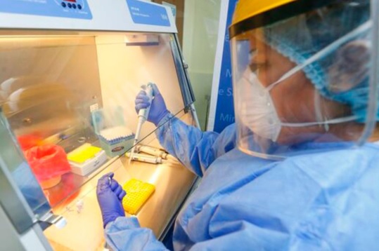 Perú ya tiene dos de las 5 subvariantes de omicrón registradas en el mundo