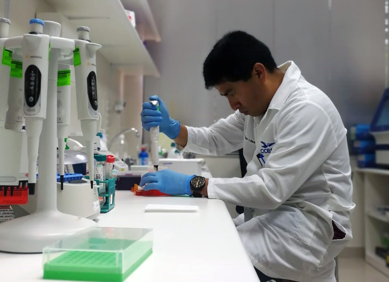 Áncash: UNS logra secuencia completa del genoma de la  Chita y Lenguado para mejorar especies