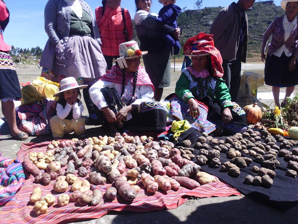 Comerciantes reclaman mayor apoyo para enfrentar siniestros y emergencias
