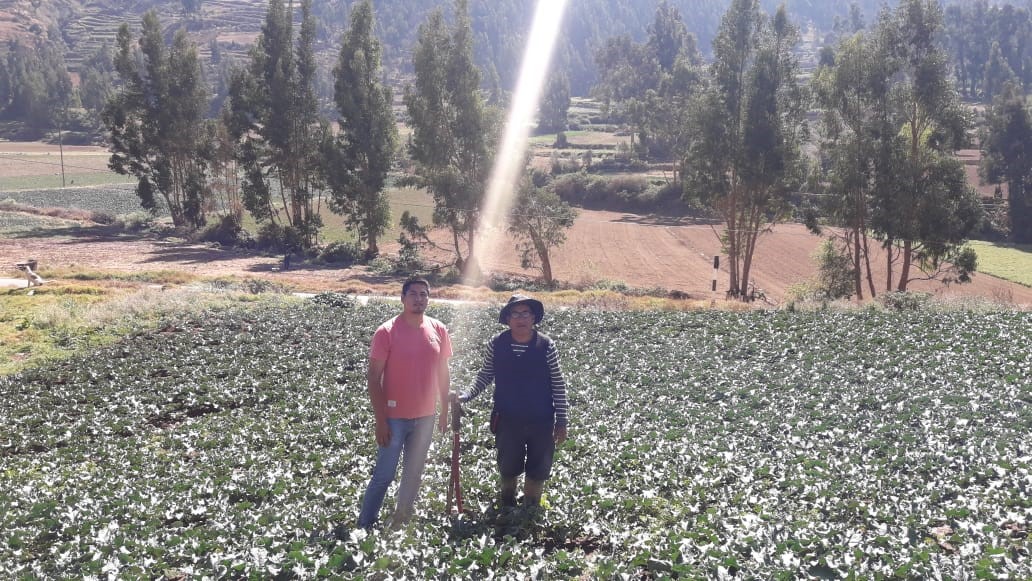 Universitarios diseñan sistema que automatiza riego de cultivos para prevenir heladas 