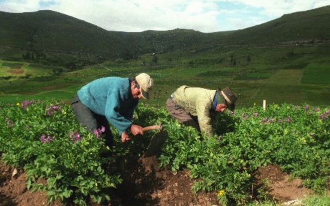 Aprueban transferencia para instalación de sistema de riego en Sacsay y Llama