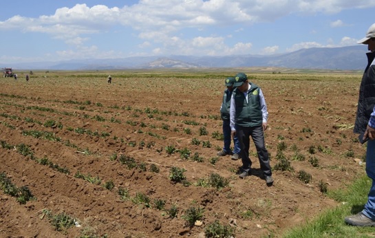 Bono sequía se entregará primero a regiones afectadas por escasez de agua 