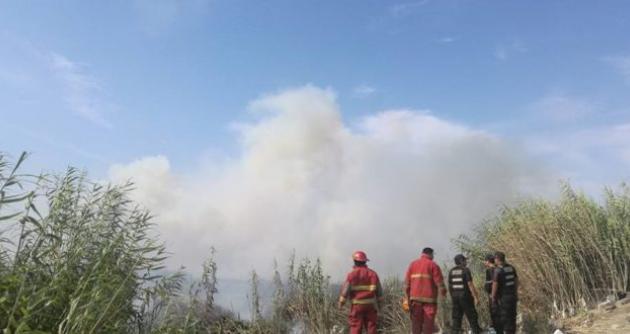 COER reporta 25 incendios forestales en Áncash 