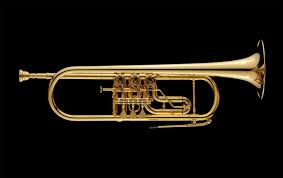 Recuperan instrumentos musicales del colegio Oscar Torres Velásquez de Huaripampa