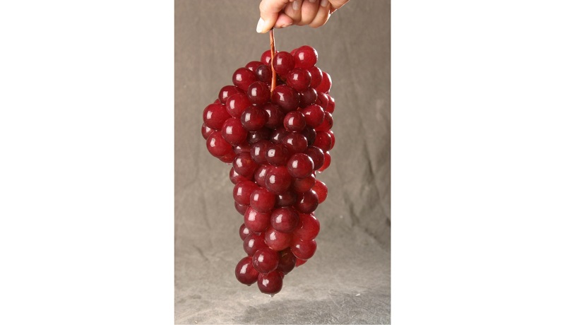 Agroexportaciones sumaron más de US$ 4 mil 158 millones a agosto