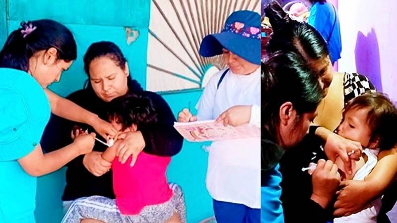 Áncash: Minsa intensifica vacunación contra tos ferina y sarampión 