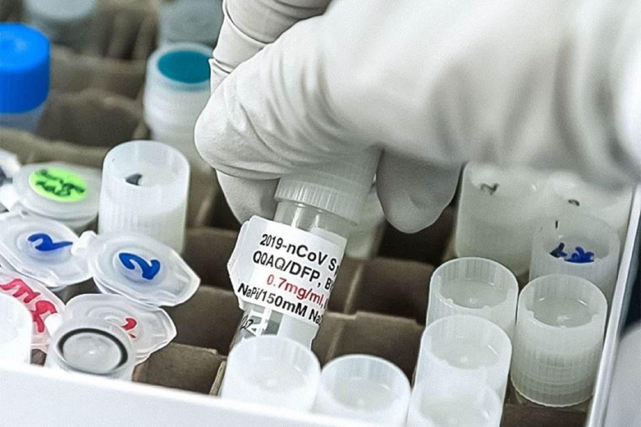 Universidad de Oxford: Infectados con covid-19 están inmunes al menos seis meses