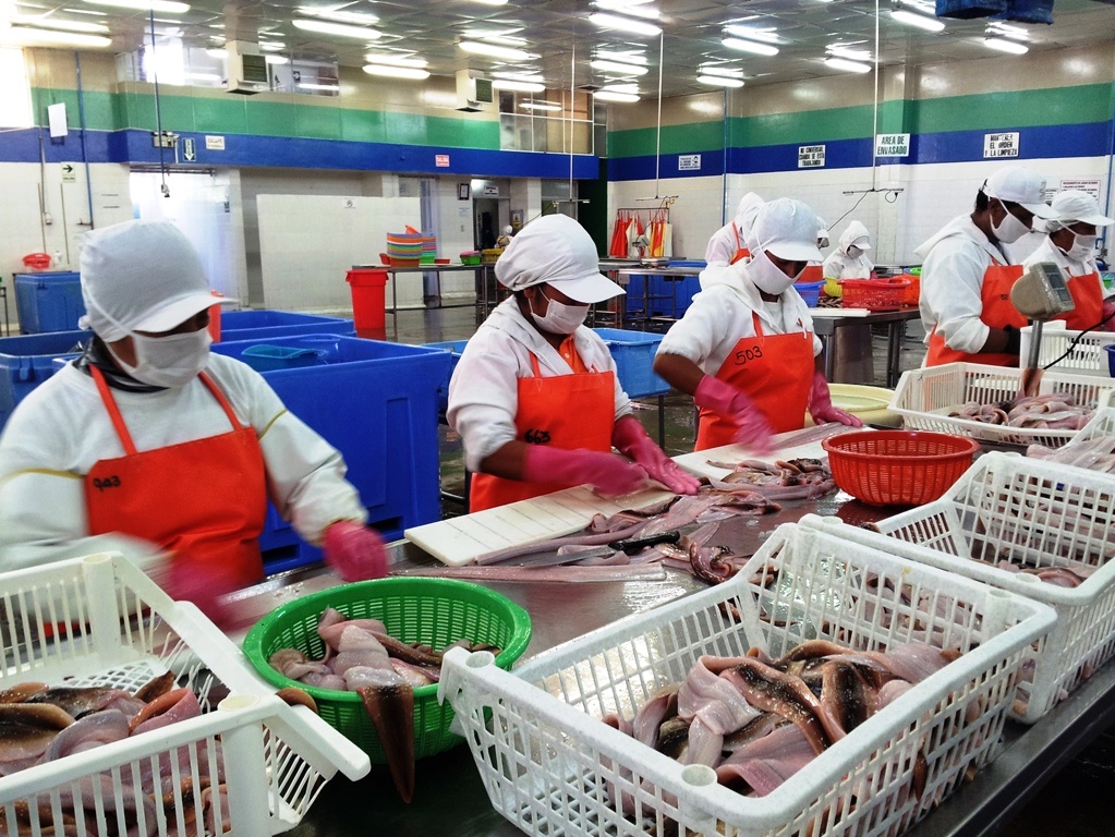 Adex pide al Ejecutivo acelerar ejecución del Plan Nacional de Competitividad y Productividad