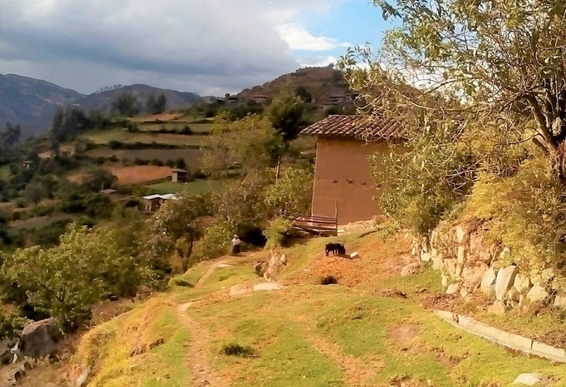 Áncash:  otorgan la buena pro para pavimentación de la vía Tauca-Pallasca