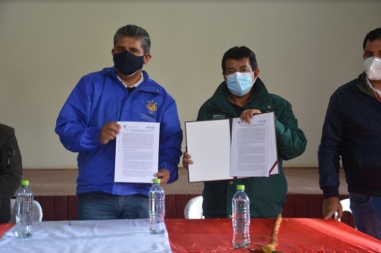 Áncash: Senasa y comuna de San Luis unen esfuerzos para erradicar la mosca de la fruta