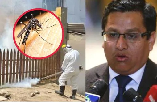 Ministro de Salud: publican decreto sobre emergencia en 20 regiones por dengue