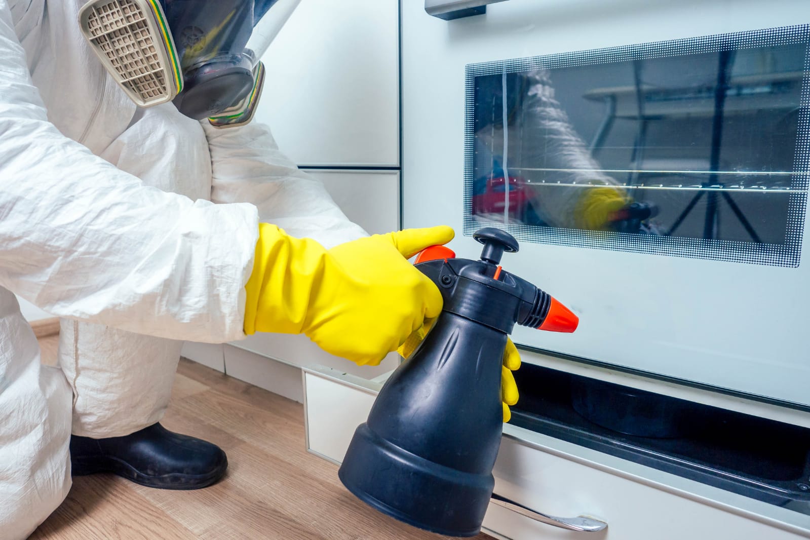 Establecen requisitos de calidad para el adecuado manejo de plagas en la industria alimentaria