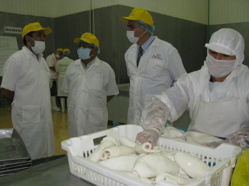 Buscan diversificar oferta peruana con valor agregado a China